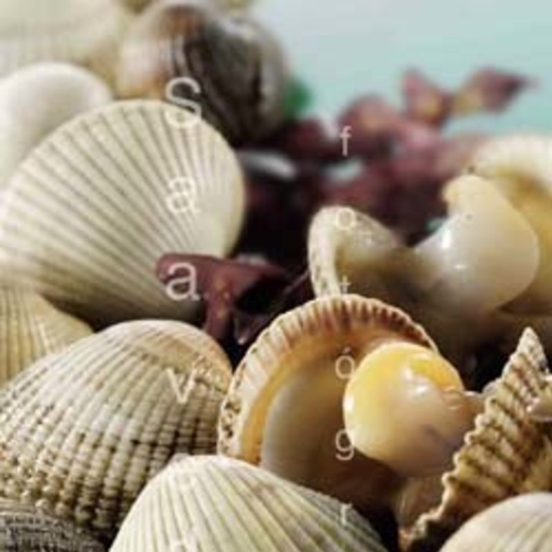 Aprende a cocinar con cuchara y cucharón - Zuigo Madrid